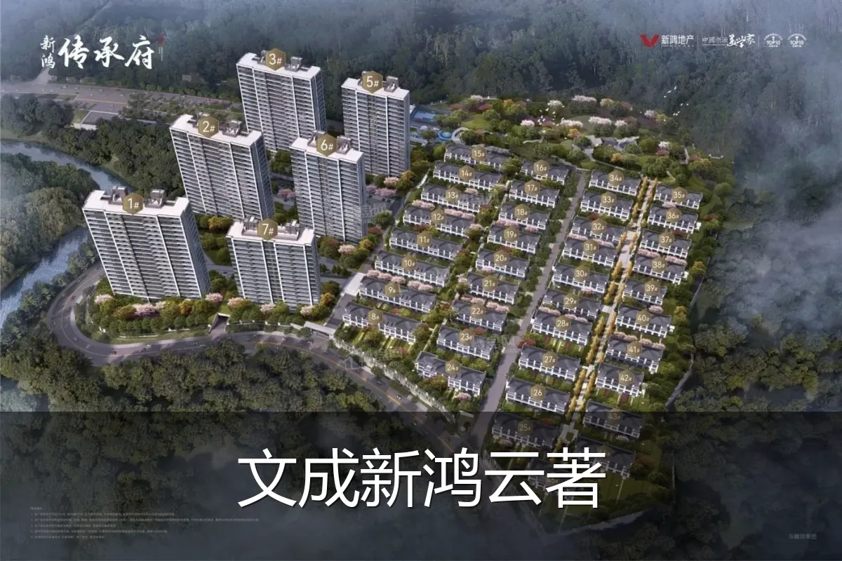文成新鸿云著