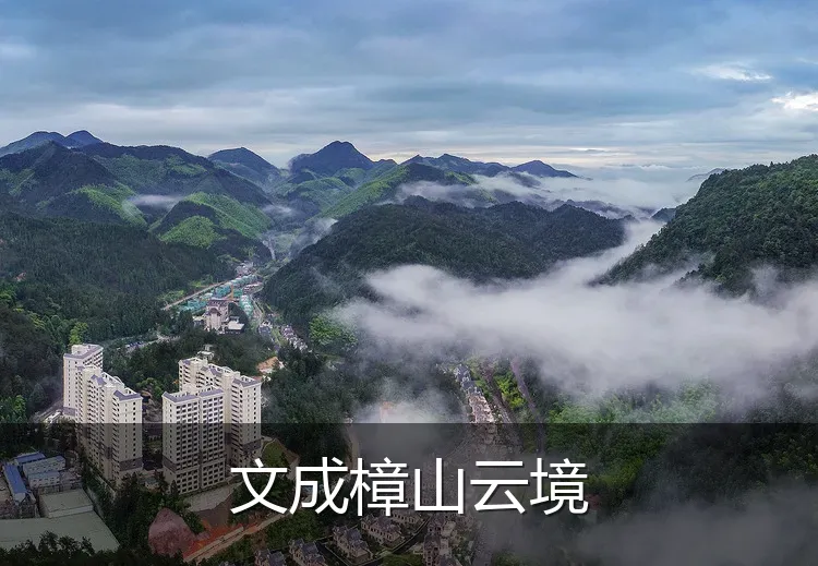 文成樟山云境